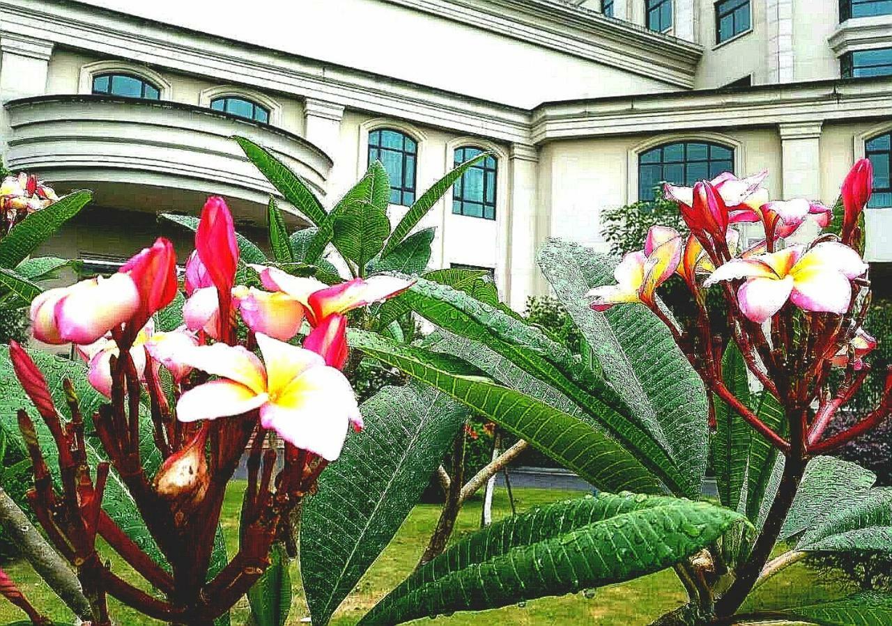 Ln Dongfang Hotel, Sihui Екстериор снимка